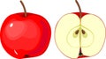 Ripe red apple, whole and in longitudinal section